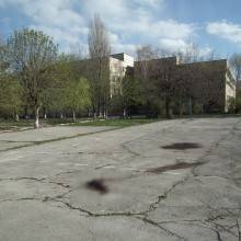 собака-труп--(-для--заголовка)